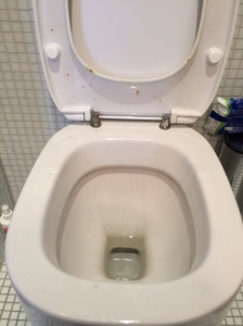 So sah die Toilette aus, als wir nach (!) der "hygienischen und fachgerechten Schimmelsanierung" nach Hause kamen. Uns wurde von Marion Lülfing dann ein neues WC versprochen, das natürlich auch nie kam.